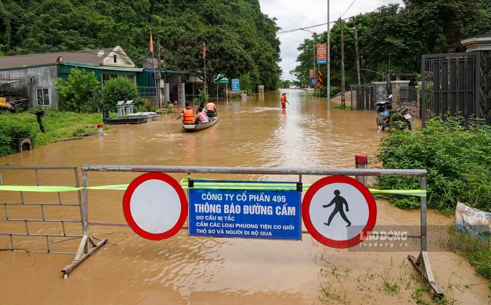 Bão số 10 gây thiệt hại nặng nề cho các hộ chăn nuôi ở Nghệ An