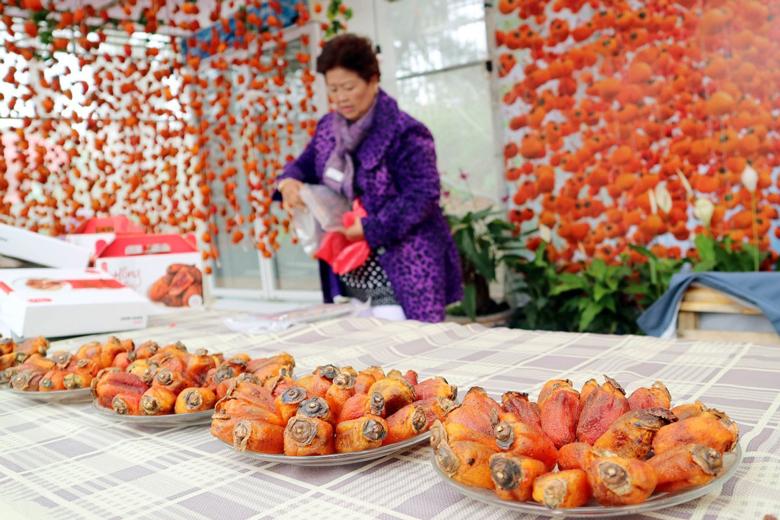 Cây Cau - Nguồn Thu Nhập Bền Vững Tại Nghệ An