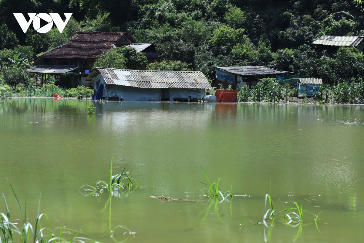 Nghệ An – Quảng Trị Đối Mặt Với Đợt Mưa Lớn Kéo Dài Từ Hôm Nay