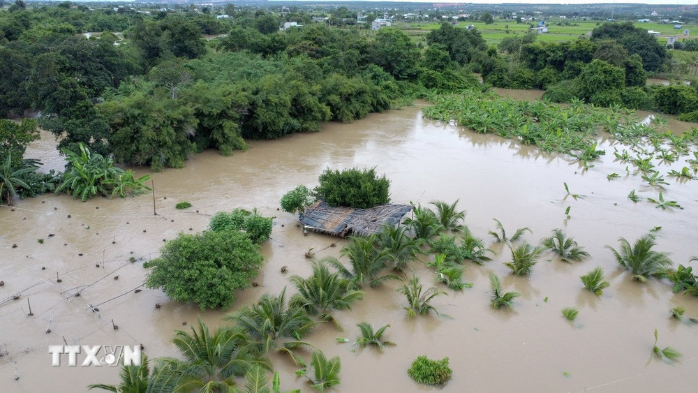 Ninh Bình FC gây sốc khi đánh bại Sông Lam Nghệ An, tiếp tục dẫn đầu V.League
