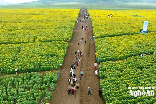 Nghệ An báo cáo tin tức nổi bật