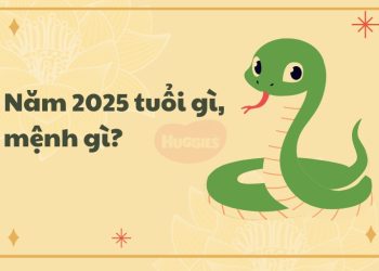 Nghệ An Đạt Thu Ngân Sách 29.211 Tỷ Đồng Năm 2025, Gần Đến Mốc 30.000 Tỷ