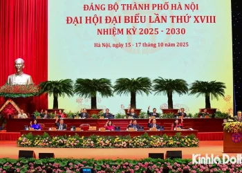 Thông tin liên hệ và giấy phép của Truyền hình Nghệ An