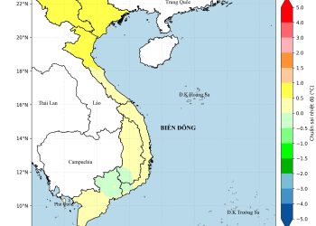 Thông tin Liên Lạc và Giấy Phép Hoạt Động của Truyền Hình Nghệ An